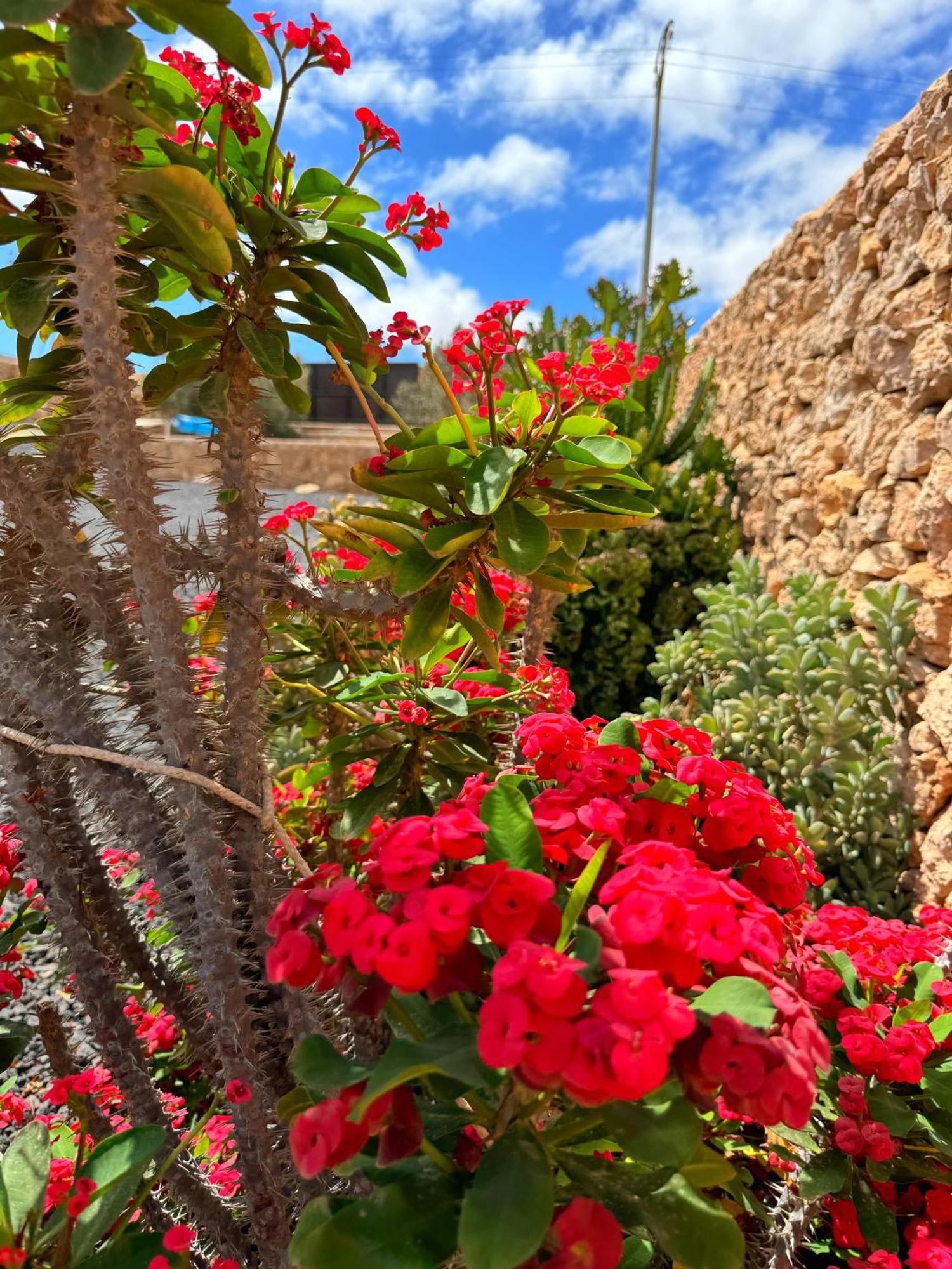 Casa Marisa With Heated Pool & Garden Casa de vacances *